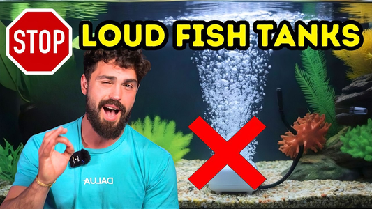 How to Reduce Fish Tank Noise: Simple Fixes for a Silent Aquarium
