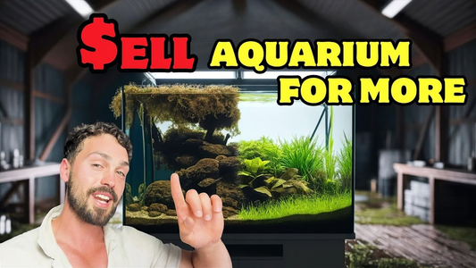 How to Make Money Selling Aquariums: Smart Resale Strategies