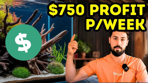 Building a Profitable Fishroom: Turning Passion Into Income