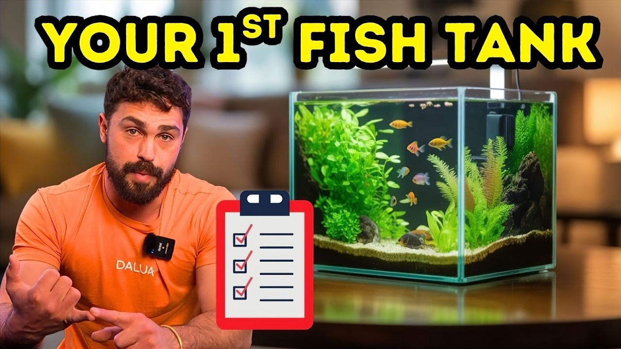 Your First Fish Tank: Everything You Need to Know for a Perfect Beginn ...