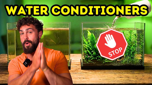 The Hidden Truth About Aquarium Water Conditioners — What Fishkeepers Get Wrong