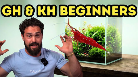 Aquarium GH & KH Explained: The Complete Guide to Water Stability for Fish, Shrimp & Plants