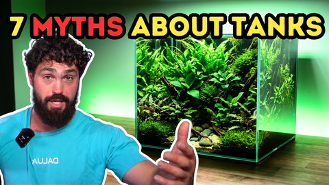 7 Aquarium Myths That Are Quietly Ruining Your Fish Tank (Must‑Watch Breakdown)