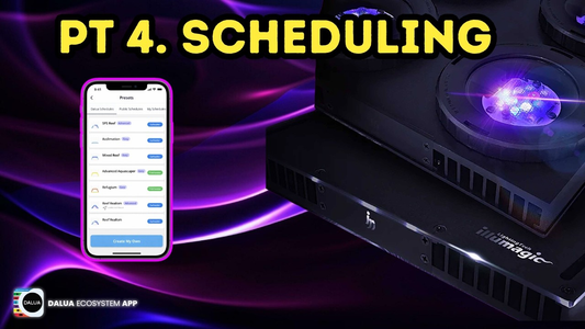The Dalua Ecosystem App Tutorial Part 4. Uploading Easy Schedules