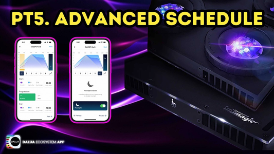 The Dalua Ecosystem App Tutorial Part 5. Uploading Advanced Schedules