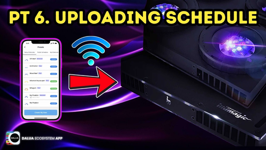 The Dalua Ecosystem App Tutorial Part 6. Uploading Preset Schedules