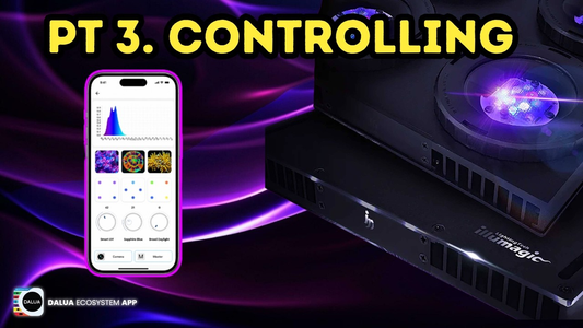 The Dalua Ecosystem App Tutorial Part 3. Controlling Your Devices