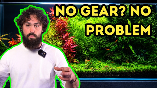 Make Your Aquarium Better Without Buying New Gear – DALUA Fishroom Guide