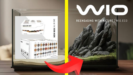 WIO River Kits: Create Natural Aquascapes With Ready-Made Biotope Designs