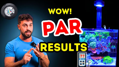Pixel PAR Comparison Against Leading LED Brand