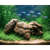 INSTANT AQUASCAPES