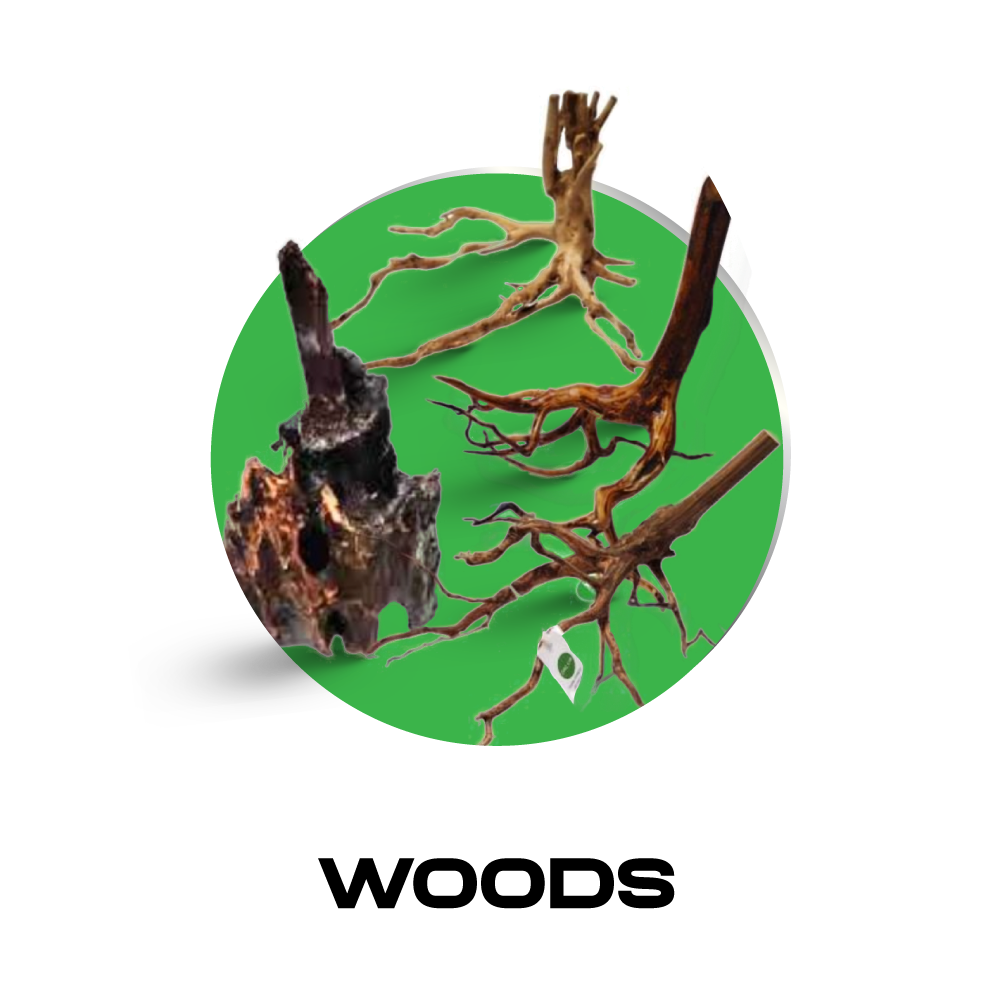WOODS
