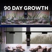 Product carousel image