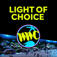 Product carousel image