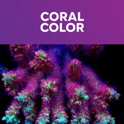 Coral Essentials CVE+