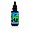 Coral Essentials ICP Micro Elements