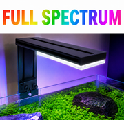 DALUA WRGB Slim LED