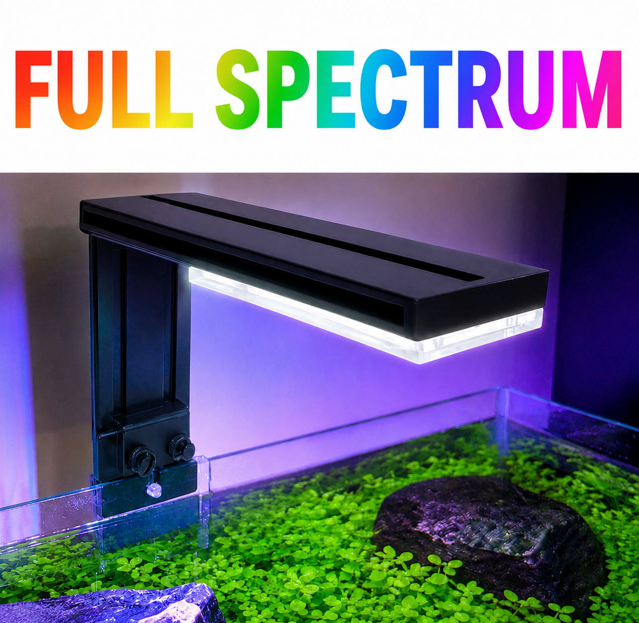 DALUA WRGB Slim LED