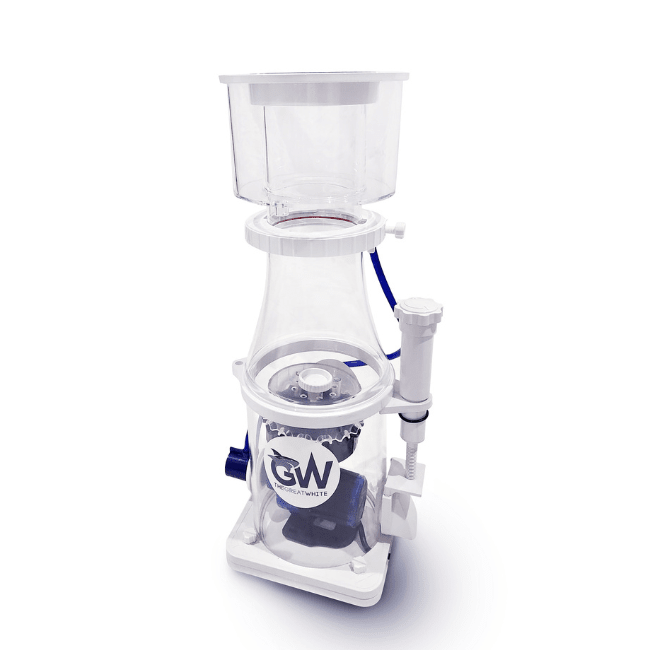 Great White Skimmer DC PROTEIN SKIMMER DALUA 