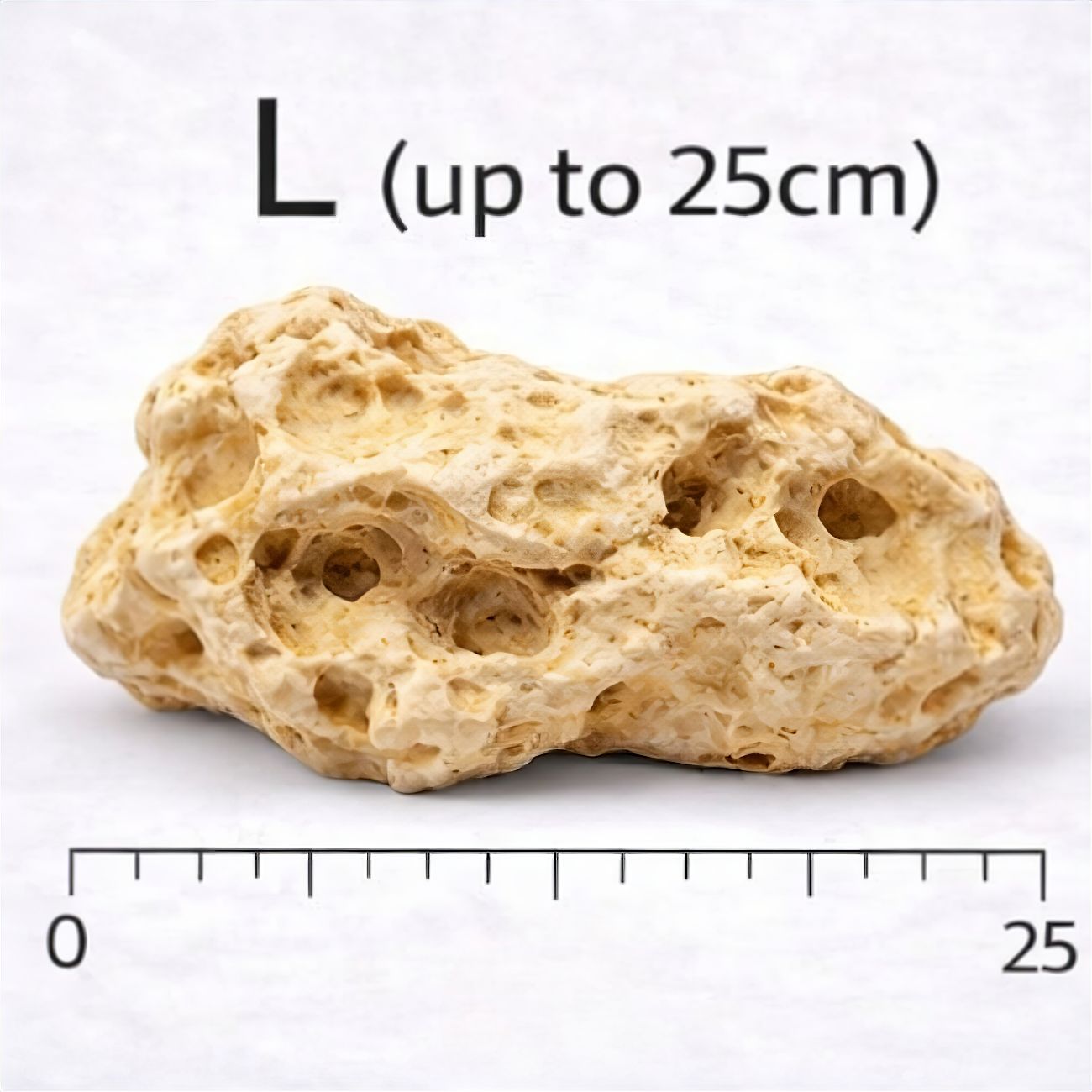 Holey Rock (per kg)