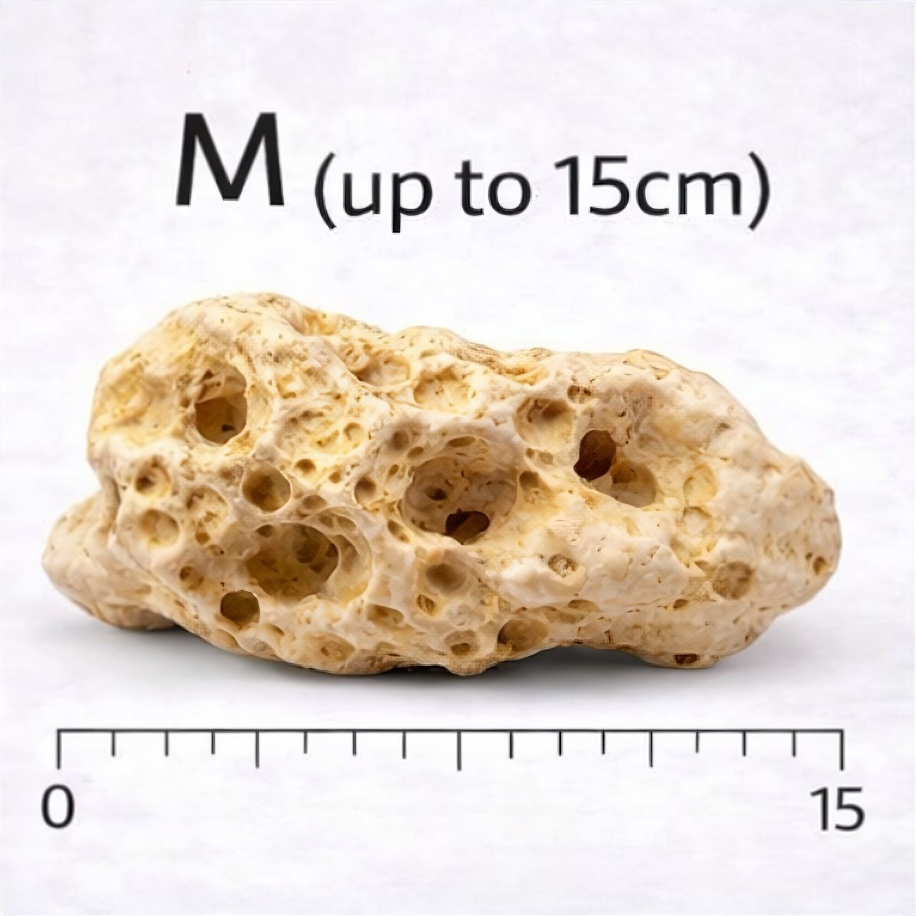 Holey Rock (per kg)