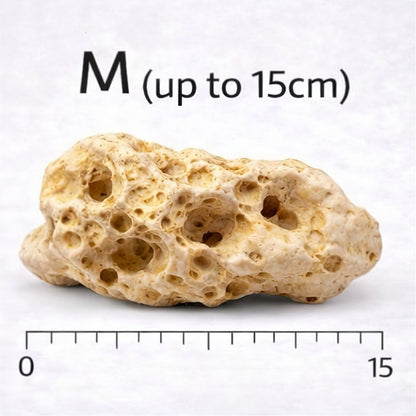 Holey Rock (per kg)