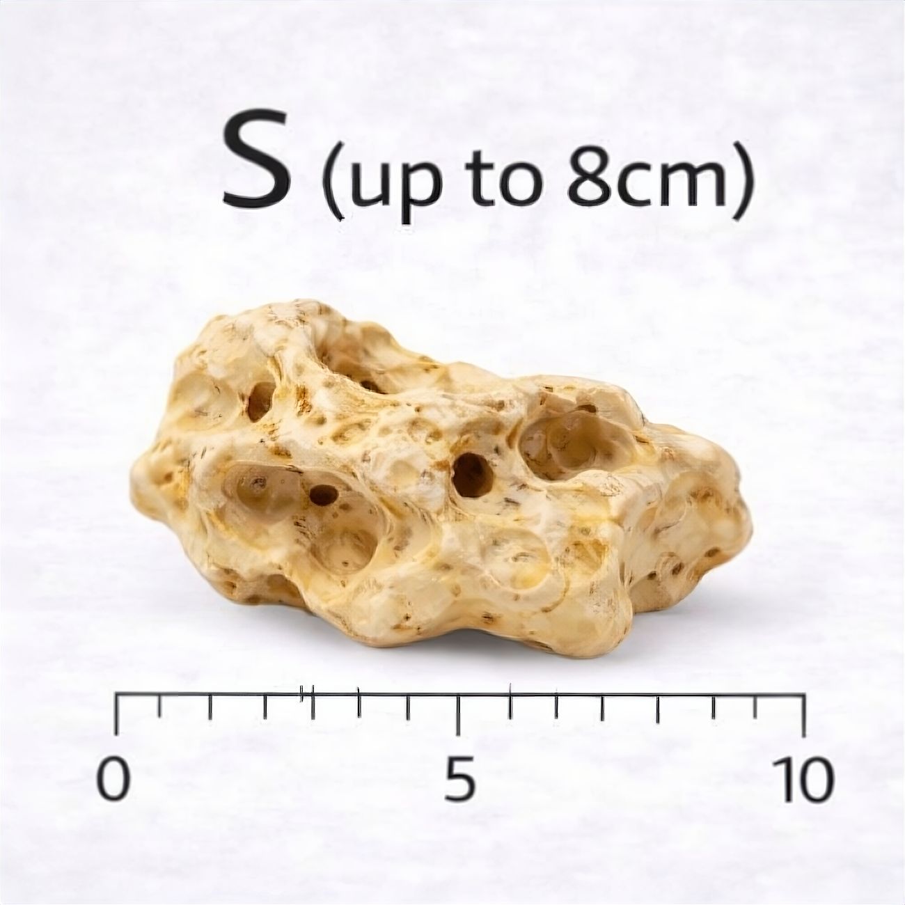 Holey Rock (per kg)