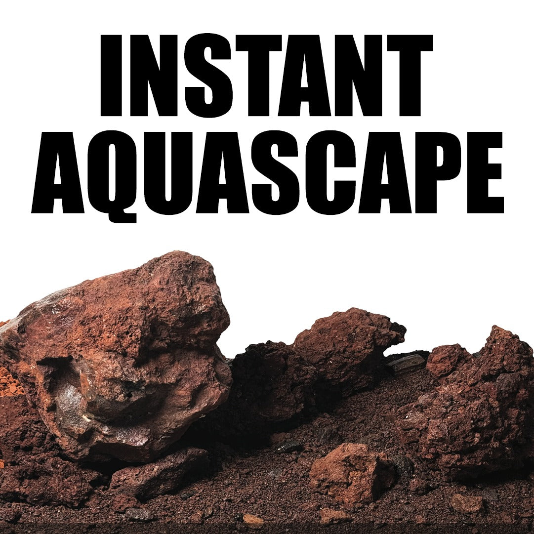 Ultimate Red Dusk Starter Kit – Complete Light, Hardscape & Filtration Bundle