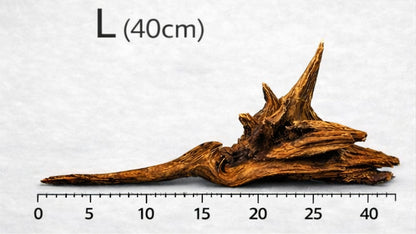 Driftwood River Series