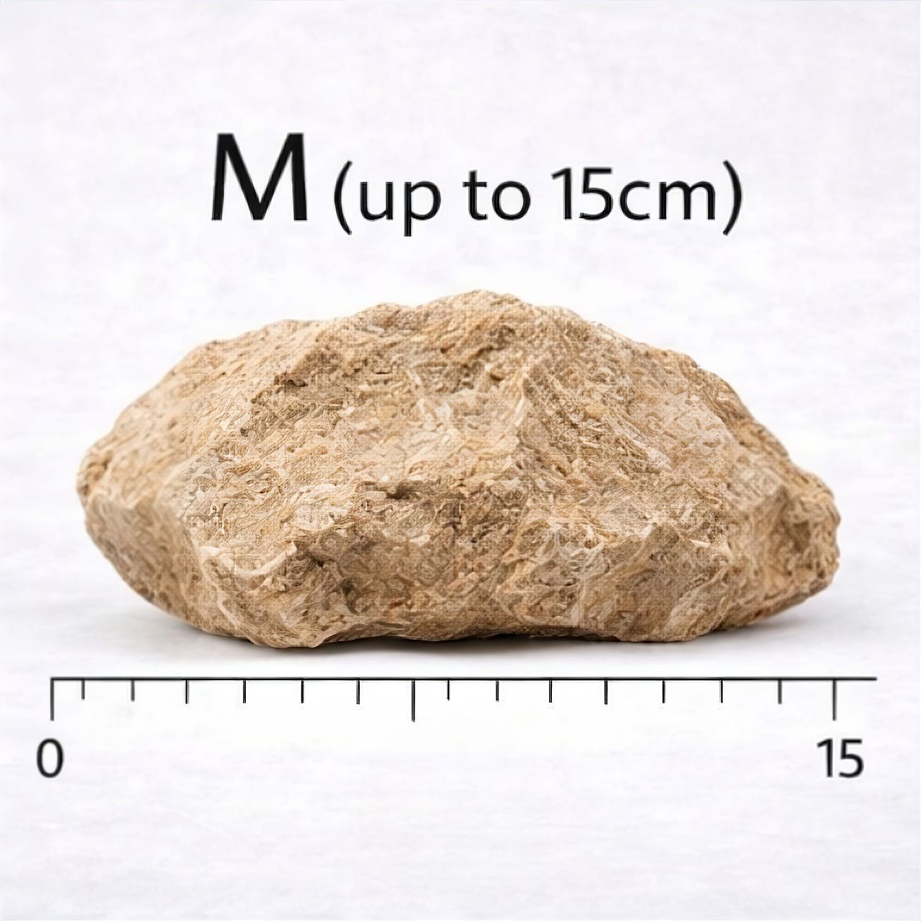 Lizard Rock (per kg)