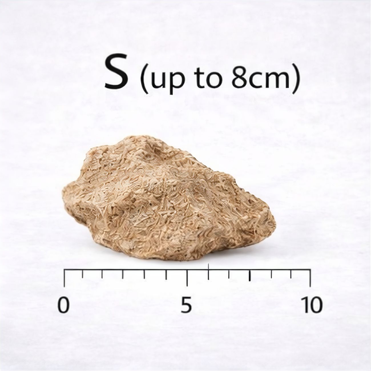 Lizard Rock (per kg)