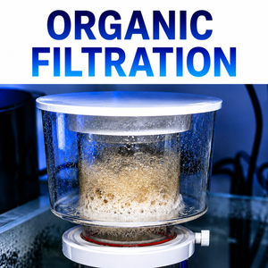 Great White Skimmer Wifi * PRE ORDER ONLY *