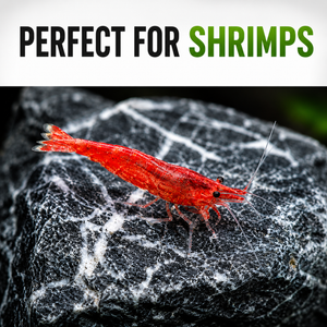 Fish and Shrimp Catcher - Extendable
