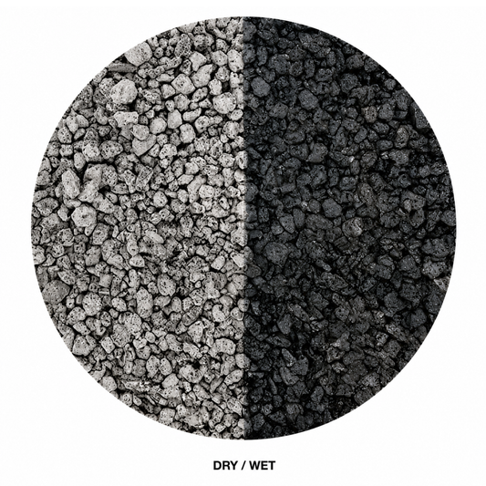 Plant Growth Black Florabed
