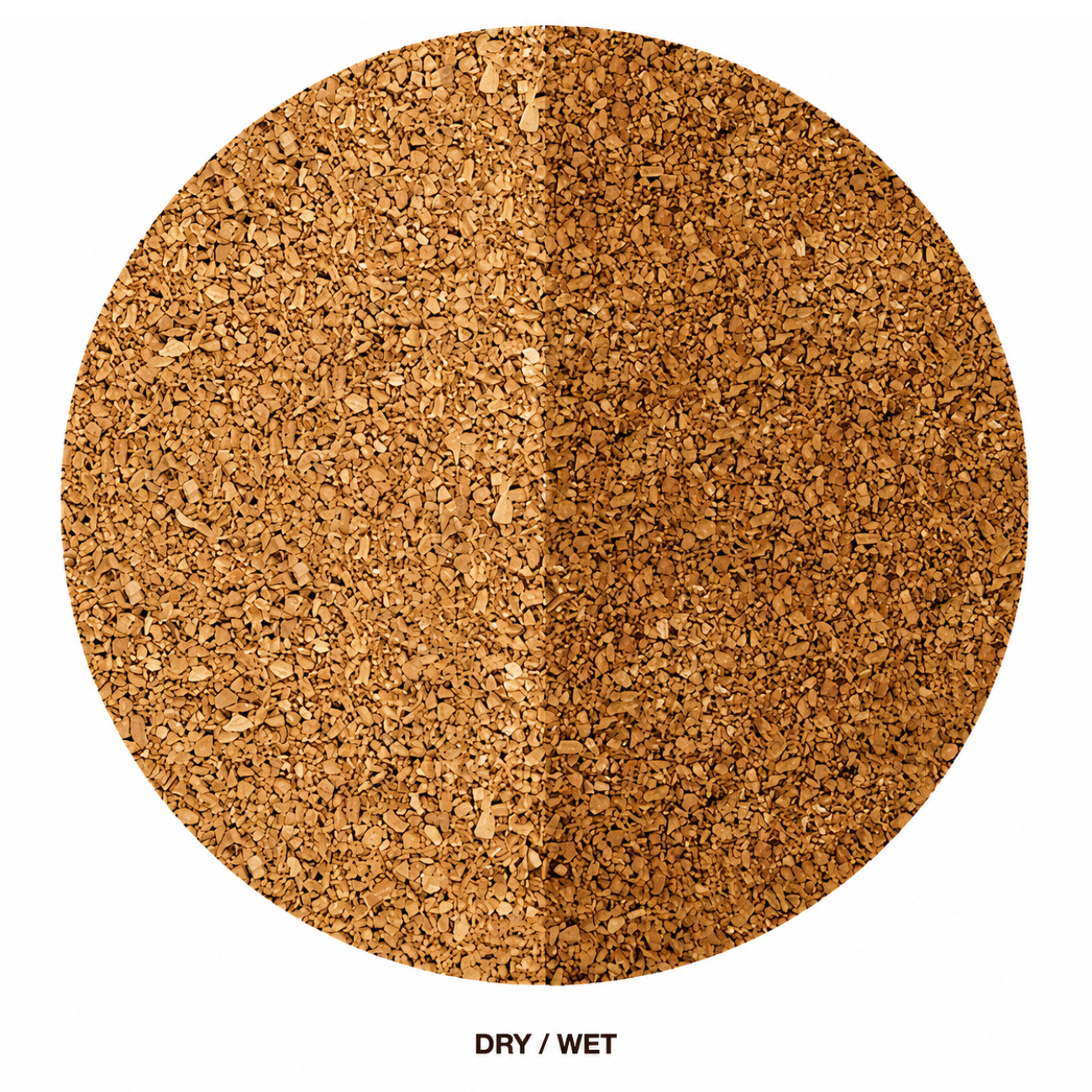 Plant Growth Mustard Florabed