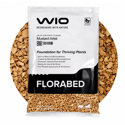 Plant Growth Mustard Florabed
