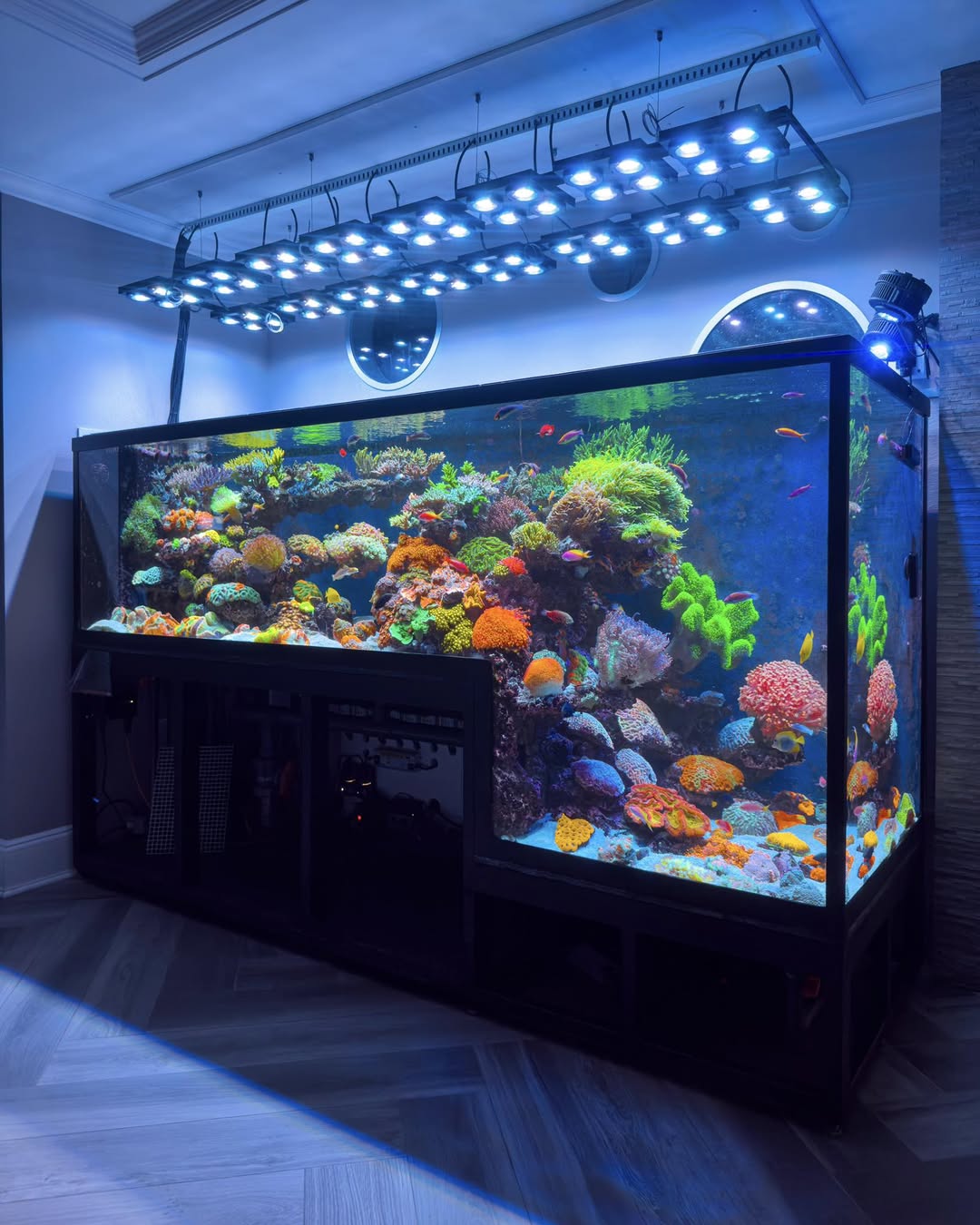 Illumagic X4 – DALUA AU