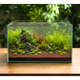 Plant Growth Red Florabed