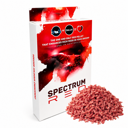 Shrimp Food Spectrum Red