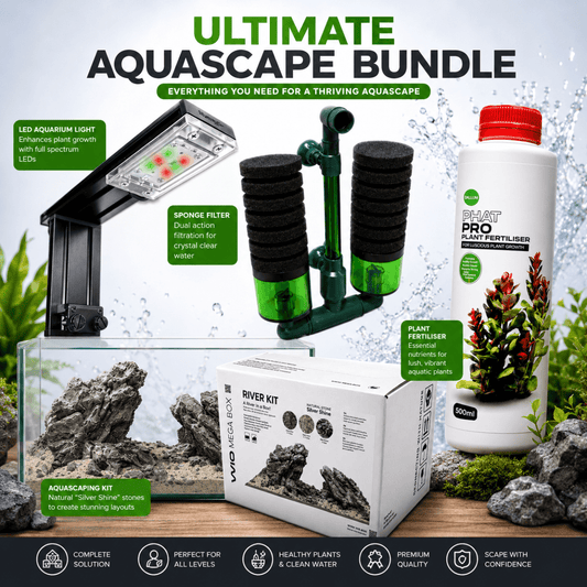 Ultimate Iwagumi Starter Kit – Complete Light, Hardscape & Filtration Bundle