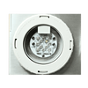 Illumagic X4 Limited Edition *Platinum White*