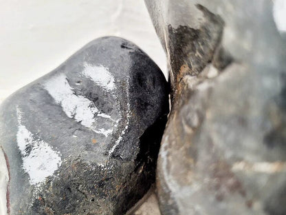 WIO - Black Allure River Kit