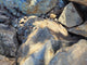 WIO - Bumblebee Stone p/kilo