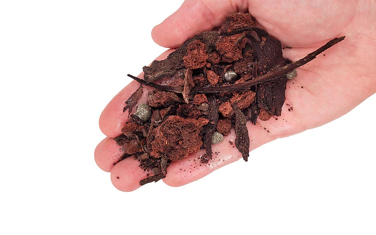 WIO - Crikey River Bed