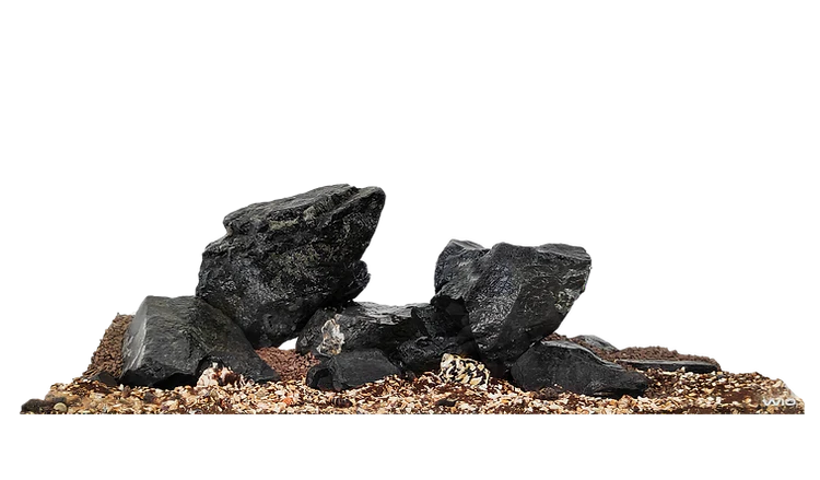WIO - Nautilus Dark River Kit