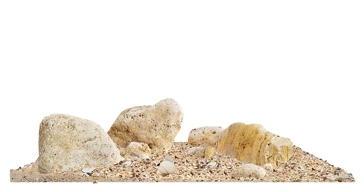 WIO - Nautilus Light River Kit