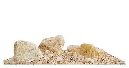WIO - Nautilus Light River Kit