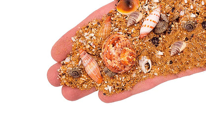 WIO - Nautilus Tan River Bed