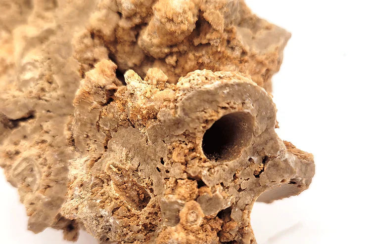 WIO - Paleorock Nano Rock 1.5kg