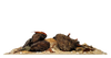 WIO - Rivulet River Kit